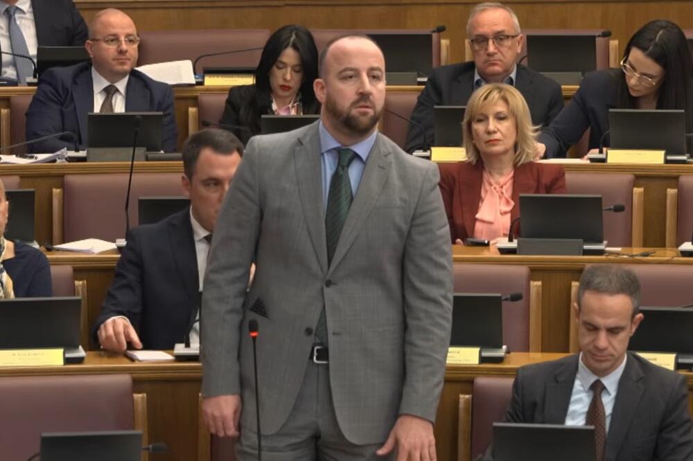 Foto: Skupština Crne Gore/Youtube