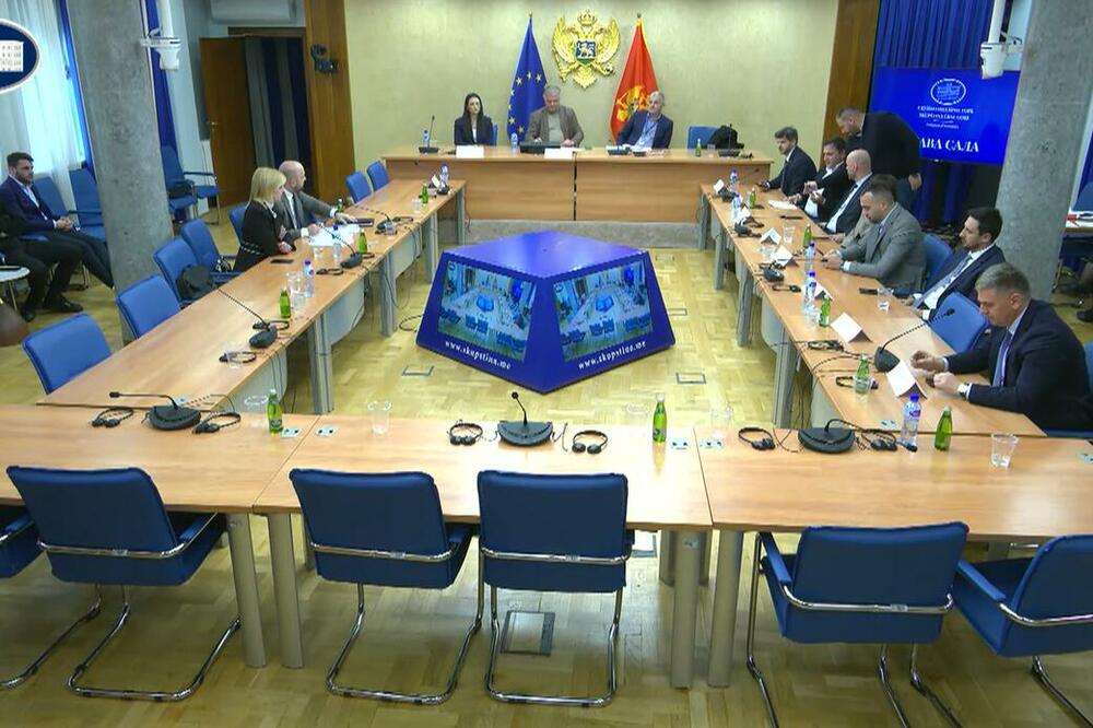 Detalj sa sjednice Zakonodavnog odbora, Foto: Printscreen/Youtube