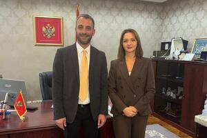 Armenko: Nadam se da će uskoro biti kompletiran sastav Ustavnog...