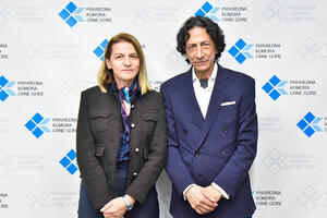 Privredna saradnja sa UAE traži promjenu viznog režima i direktne...