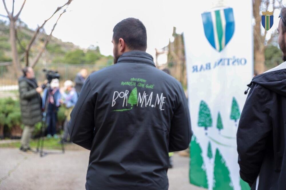 <p>Akcija sadnje na Golom brdu nastavlja se i 30. novembra, uz očekivanje da će njenim završetkom na ovom lokalitetu samo tokom novembra biti zasađeno oko 25 hiljada sadnica</p>