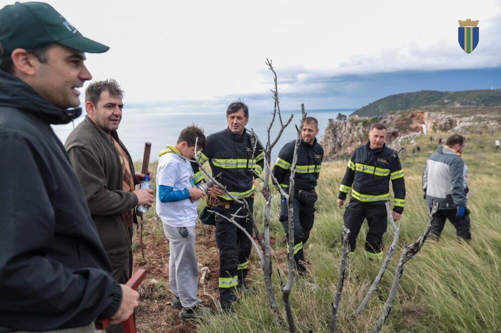 <p>Akcija sadnje na Golom brdu nastavlja se i 30. novembra, uz očekivanje da će njenim završetkom na ovom lokalitetu samo tokom novembra biti zasađeno oko 25 hiljada sadnica</p>