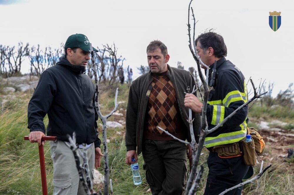 <p>Akcija sadnje na Golom brdu nastavlja se i 30. novembra, uz očekivanje da će njenim završetkom na ovom lokalitetu samo tokom novembra biti zasađeno oko 25 hiljada sadnica</p>