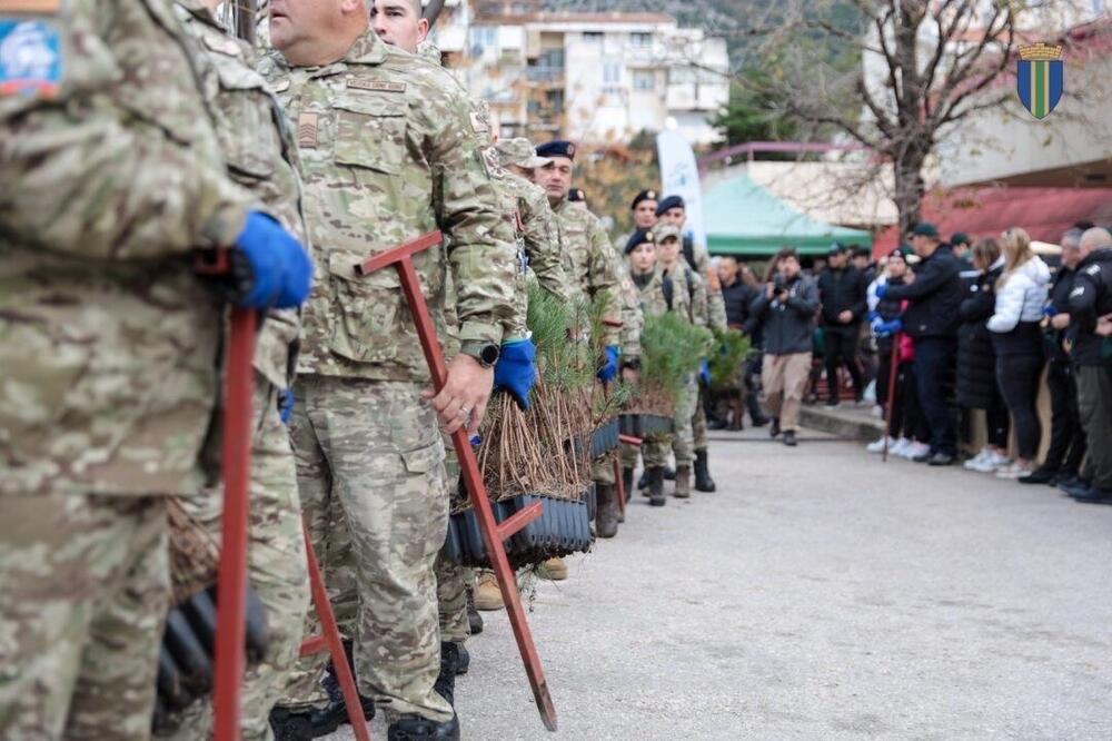<p>Akcija sadnje na Golom brdu nastavlja se i 30. novembra, uz očekivanje da će njenim završetkom na ovom lokalitetu samo tokom novembra biti zasađeno oko 25 hiljada sadnica</p>