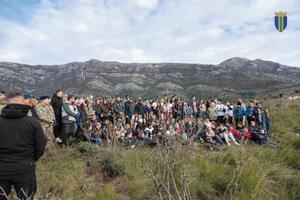 Golo brdo u Sutomoru bogatije za 8.000 sadnica crnog bora