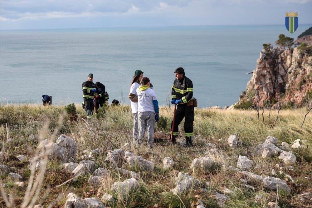 <p>Akcija sadnje na Golom brdu nastavlja se i 30. novembra, uz očekivanje da će njenim završetkom na ovom lokalitetu samo tokom novembra biti zasađeno oko 25 hiljada sadnica</p>