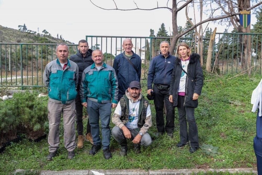<p>Akcija sadnje na Golom brdu nastavlja se i 30. novembra, uz očekivanje da će njenim završetkom na ovom lokalitetu samo tokom novembra biti zasađeno oko 25 hiljada sadnica</p>