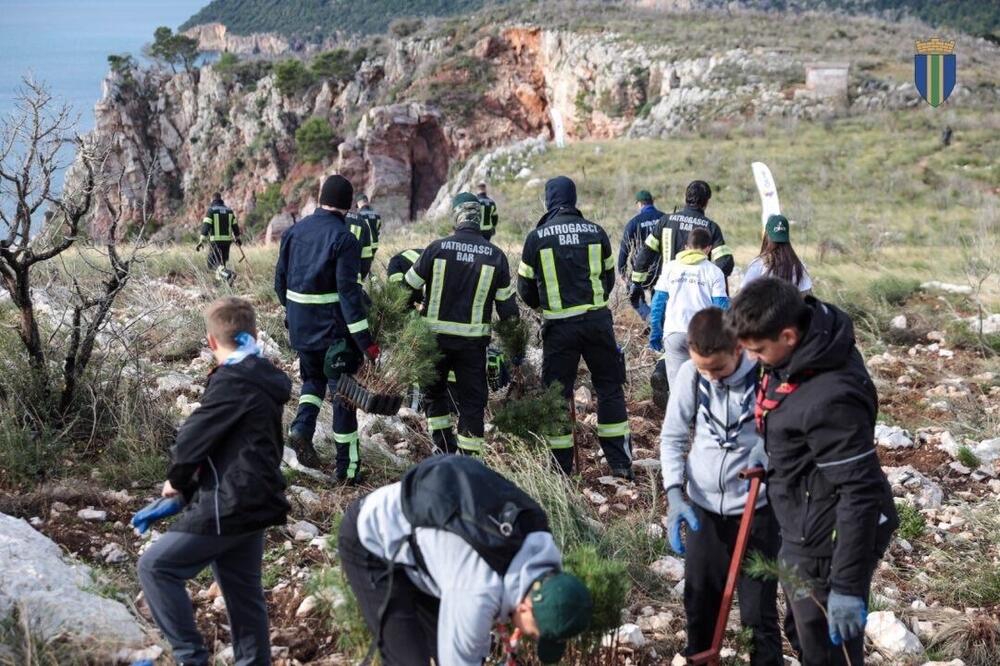 <p>Akcija sadnje na Golom brdu nastavlja se i 30. novembra, uz očekivanje da će njenim završetkom na ovom lokalitetu samo tokom novembra biti zasađeno oko 25 hiljada sadnica</p>