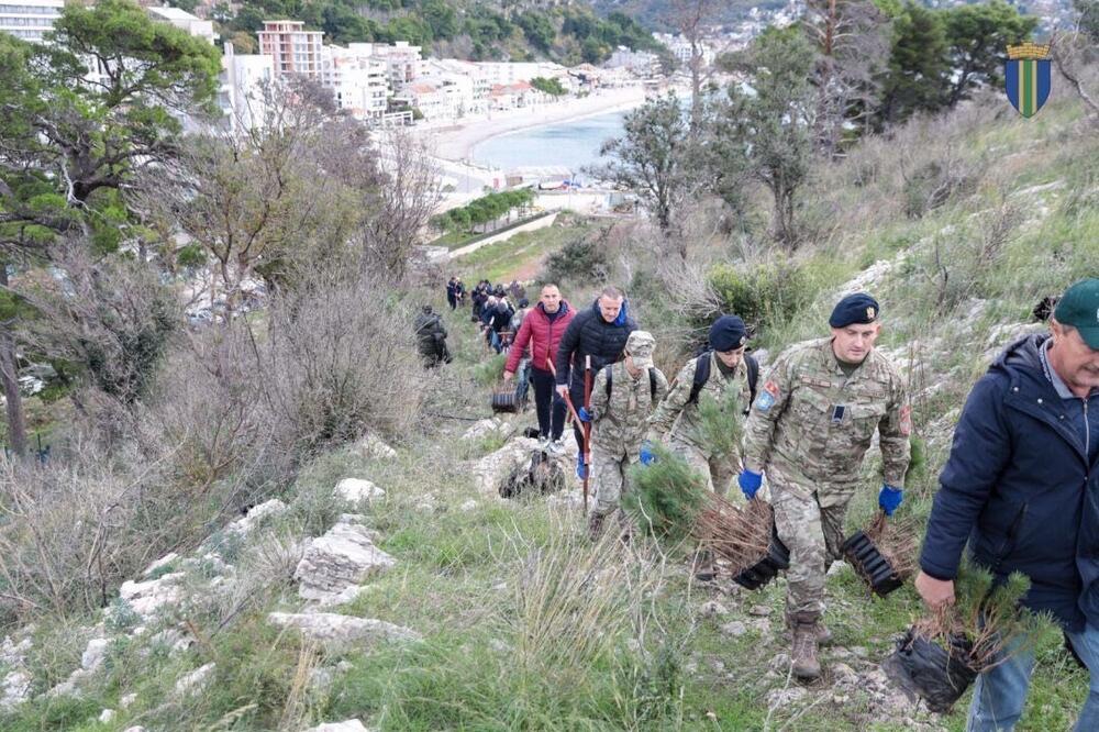 <p>Akcija sadnje na Golom brdu nastavlja se i 30. novembra, uz očekivanje da će njenim završetkom na ovom lokalitetu samo tokom novembra biti zasađeno oko 25 hiljada sadnica</p>