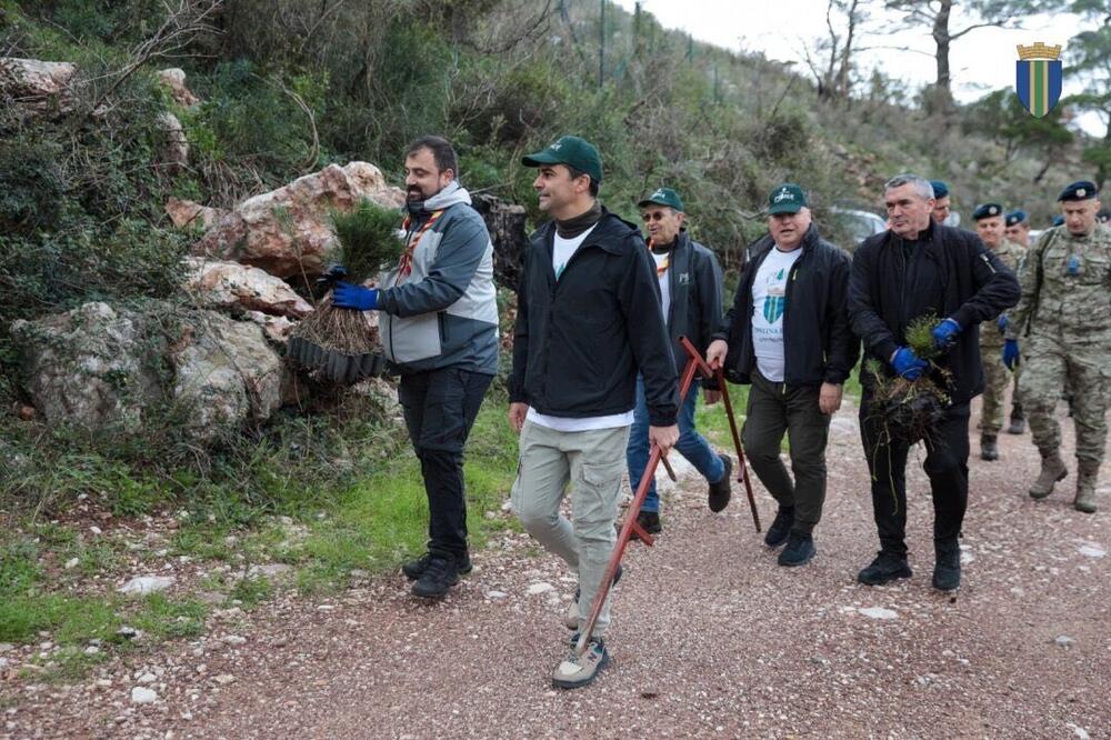 <p>Akcija sadnje na Golom brdu nastavlja se i 30. novembra, uz očekivanje da će njenim završetkom na ovom lokalitetu samo tokom novembra biti zasađeno oko 25 hiljada sadnica</p>