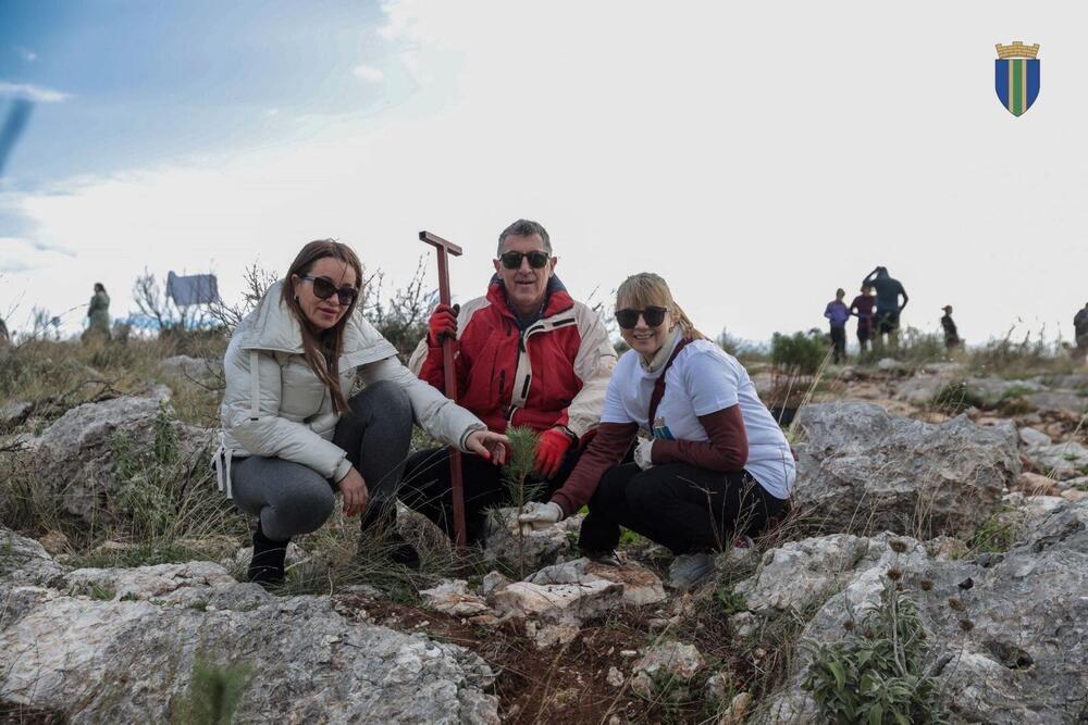 <p>Akcija sadnje na Golom brdu nastavlja se i 30. novembra, uz očekivanje da će njenim završetkom na ovom lokalitetu samo tokom novembra biti zasađeno oko 25 hiljada sadnica</p>