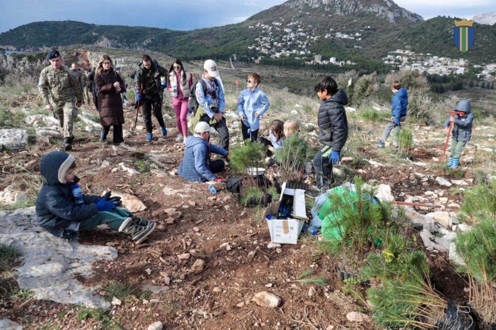 <p>Akcija sadnje na Golom brdu nastavlja se i 30. novembra, uz očekivanje da će njenim završetkom na ovom lokalitetu samo tokom novembra biti zasađeno oko 25 hiljada sadnica</p>