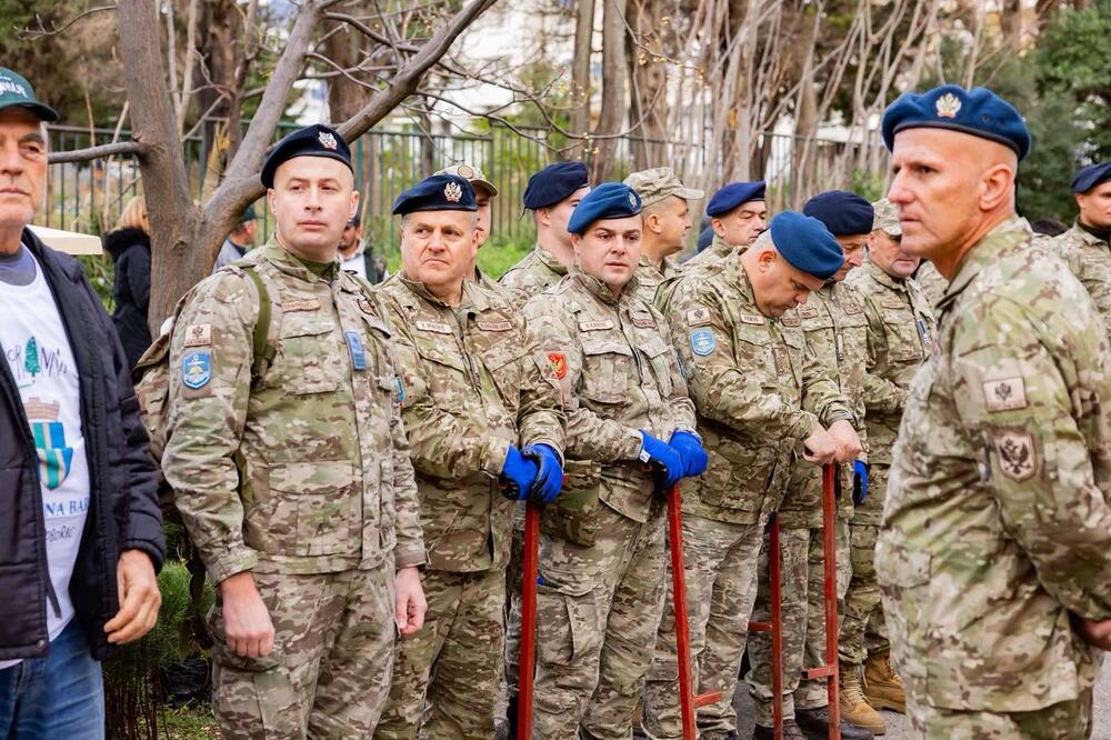 <p>Akcija sadnje na Golom brdu nastavlja se i 30. novembra, uz očekivanje da će njenim završetkom na ovom lokalitetu samo tokom novembra biti zasađeno oko 25 hiljada sadnica</p>