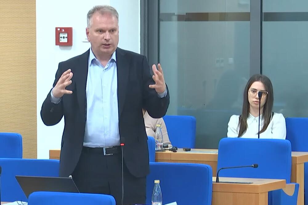 Srđan Perić, Foto: youtube.com