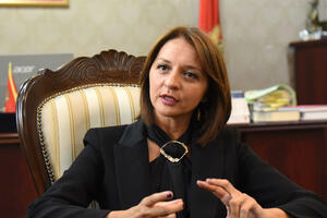 Krajem januara ili početkom februara odlučiće o ustavnosti neradne...