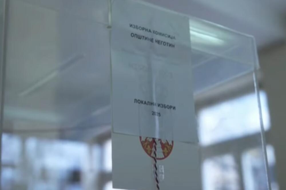 Sa jednog biračkog mjesta u Negotinu, Foto: Screenshot/Youtube