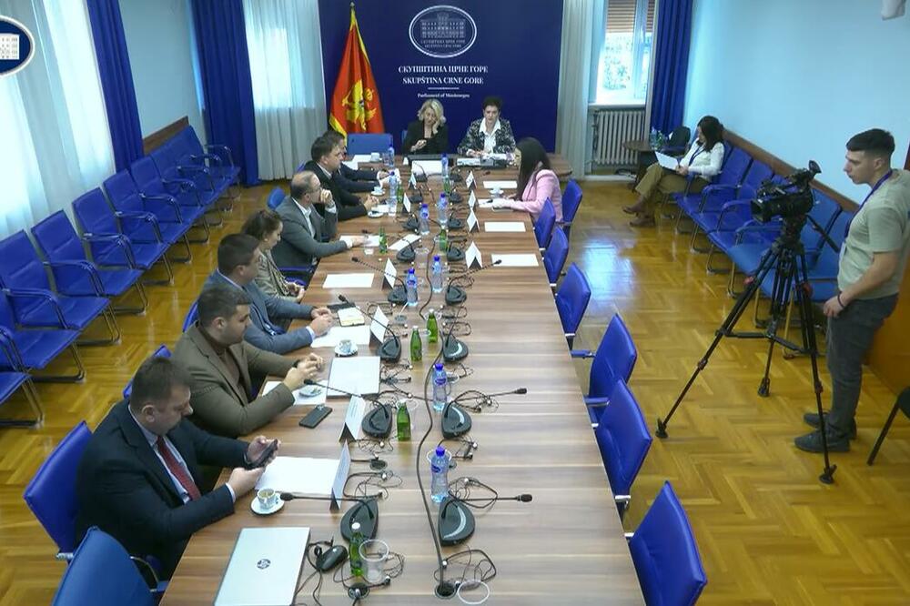 Detalj sa današnje sjednice Ustavnog odbora, Foto: Printscreen/Youtube