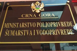 MPŠV: Kasni donošenje rješenja o finansijskoj podršci bivšim...