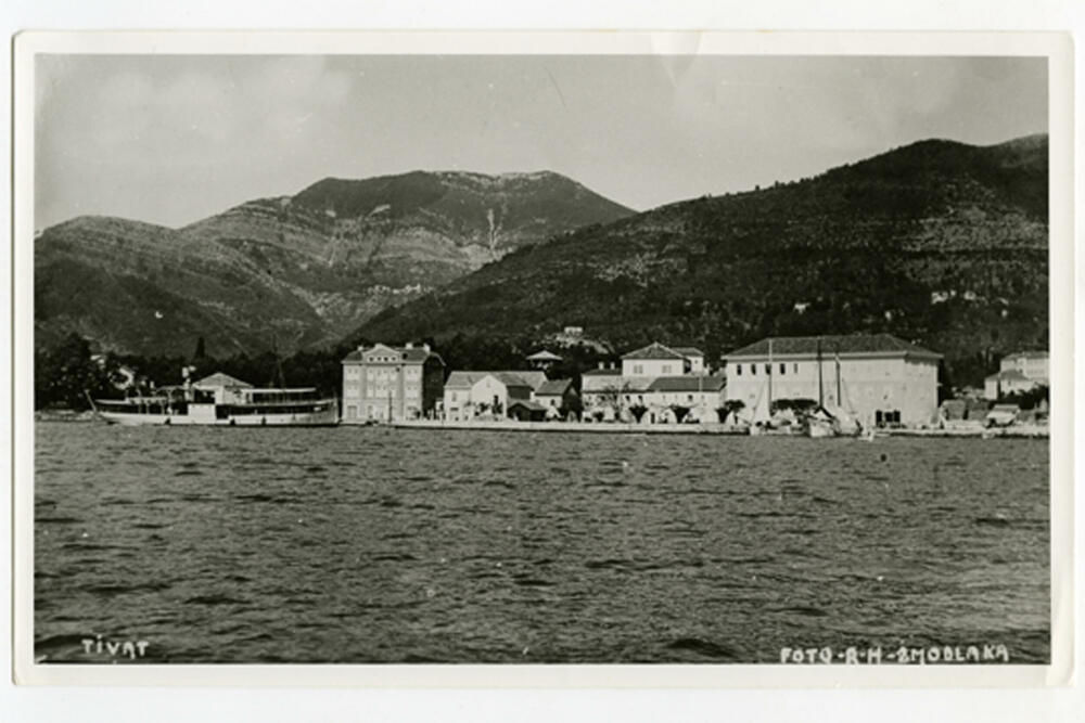 Pine, pogled sa mora