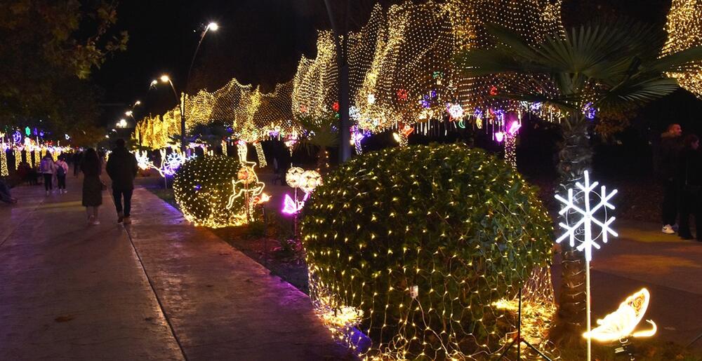 Kampus UCG-a okićen prazničnom rasvjetom