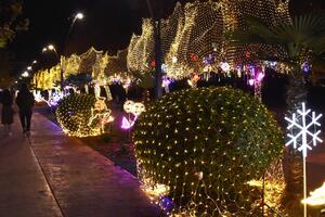 Kampus UCG-a okićen prazničnom rasvjetom