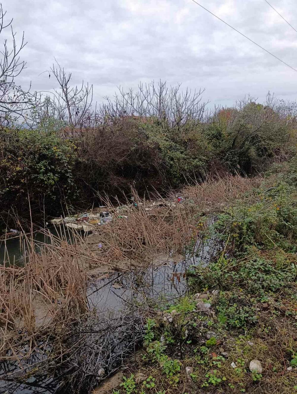 <p>&bdquo;Voda se u velikoj mjeri preusmjerava sporednim kanalima, što doprinosi povećanoj mutnoći", rekao je direktor preduzeća "Vodovod i kanalizacija Podgorica" Aleksandar Nišavić</p>