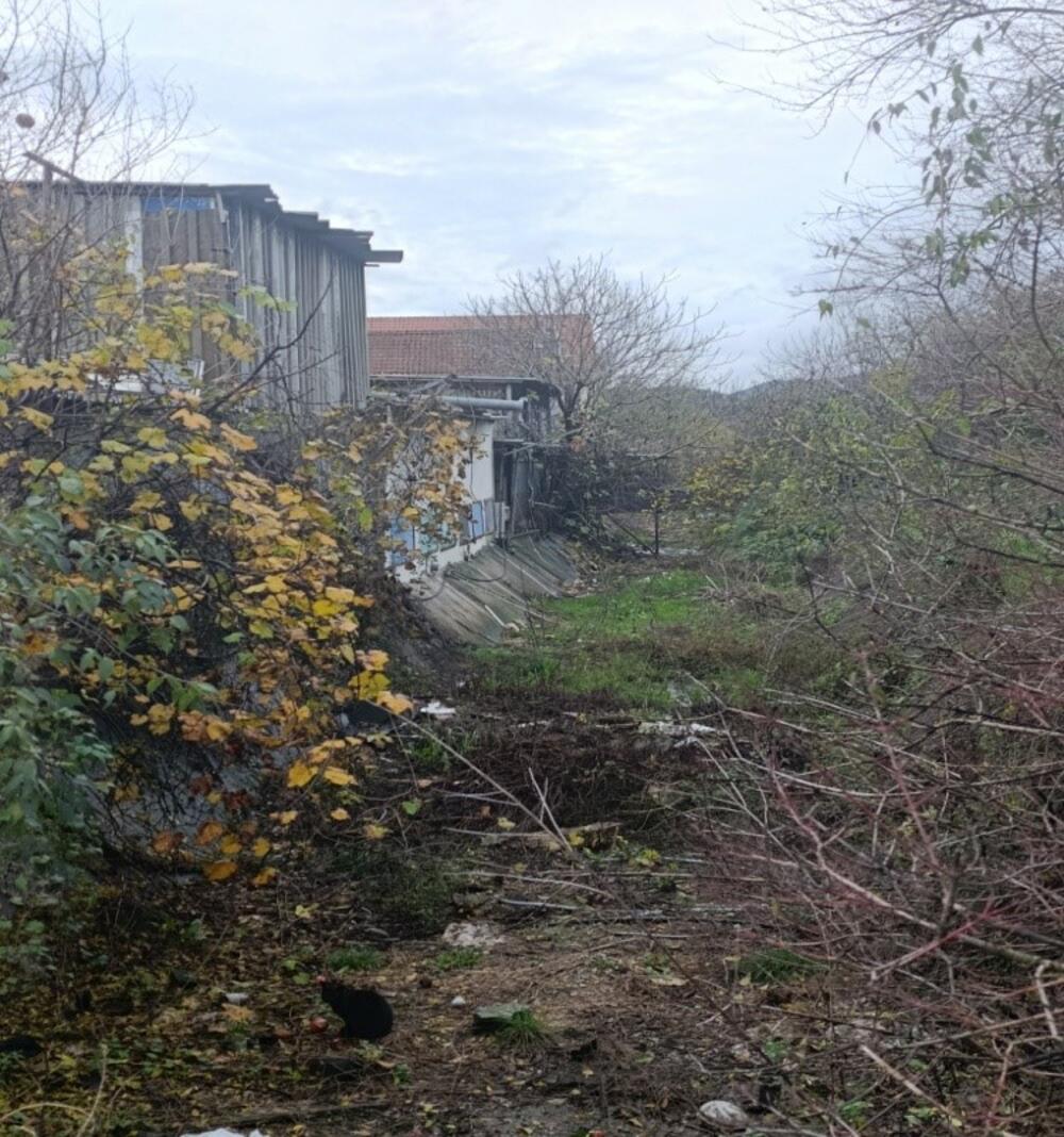 <p>&bdquo;Voda se u velikoj mjeri preusmjerava sporednim kanalima, što doprinosi povećanoj mutnoći", rekao je direktor preduzeća "Vodovod i kanalizacija Podgorica" Aleksandar Nišavić</p>