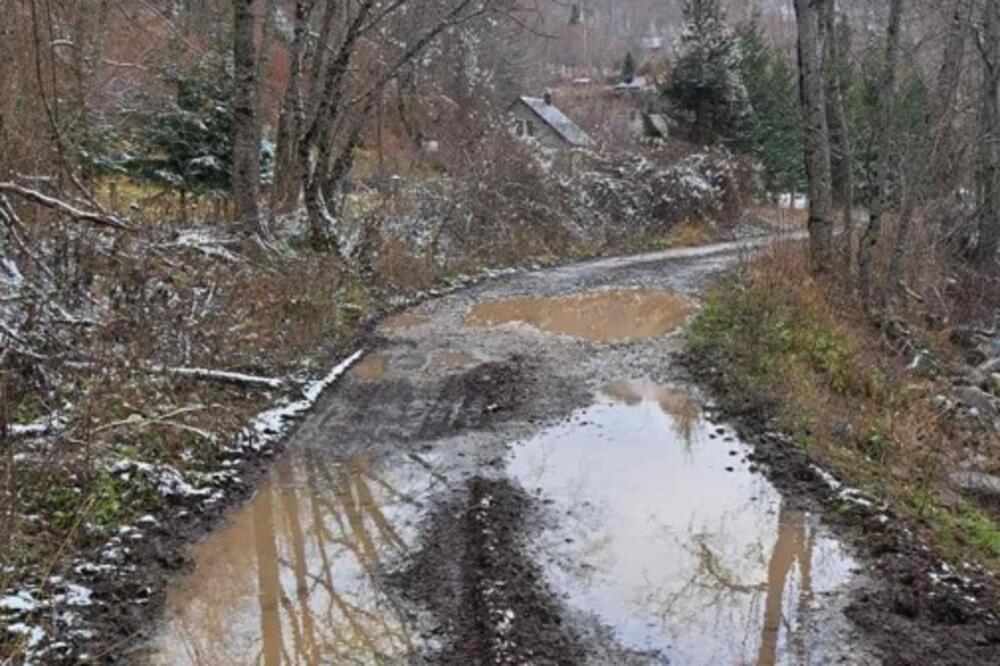 Put u Pješčanici, Foto: Privatna arhiva