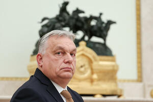 Ne plaše se Mandića, već novih orbana: Zašto se iz EU sve češće...