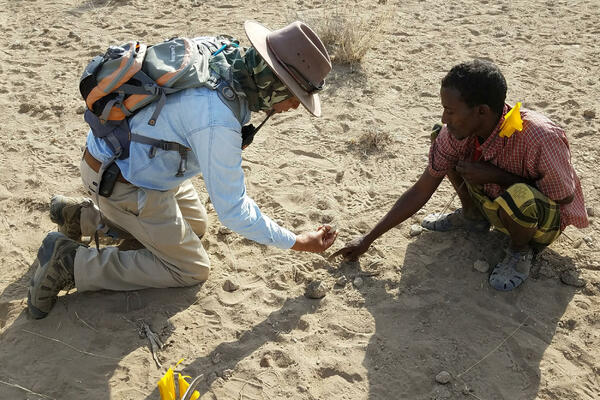 Naučnici tvrde da su riješili misteriju praistorijskog "Burtele...