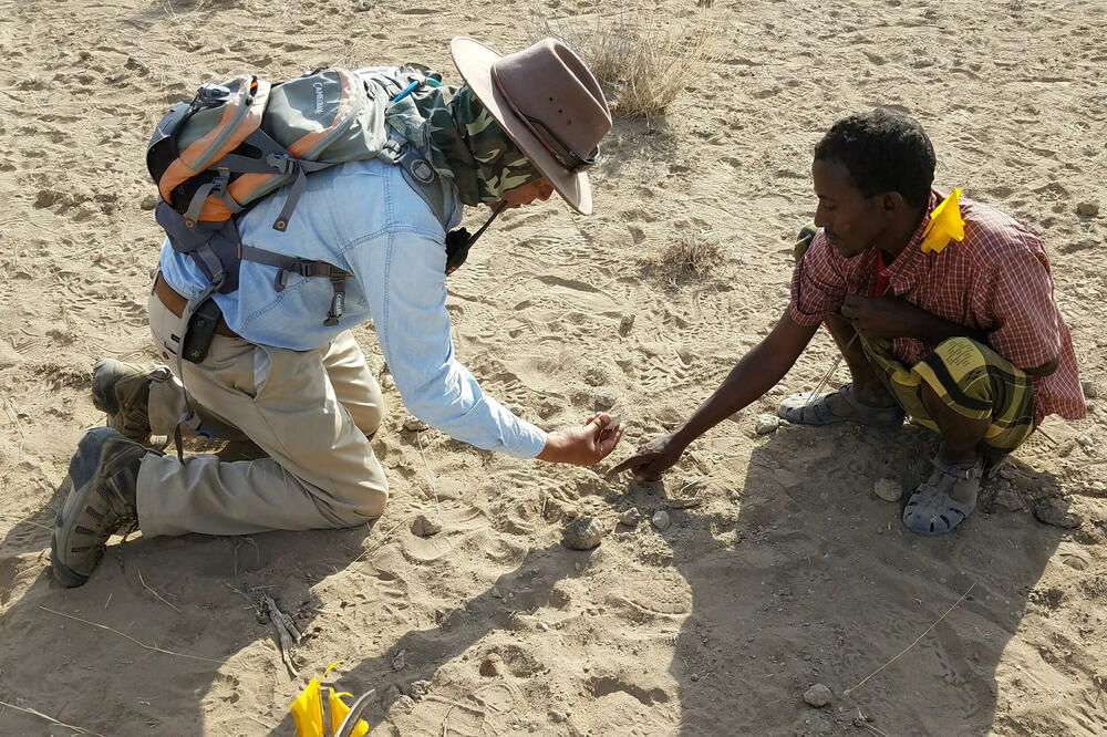 Hajle-Selasi i terenski asistent posmatraju fosilni primjerak hominina pronađen u regionu Afar u Etiopiji, Foto: Reuters