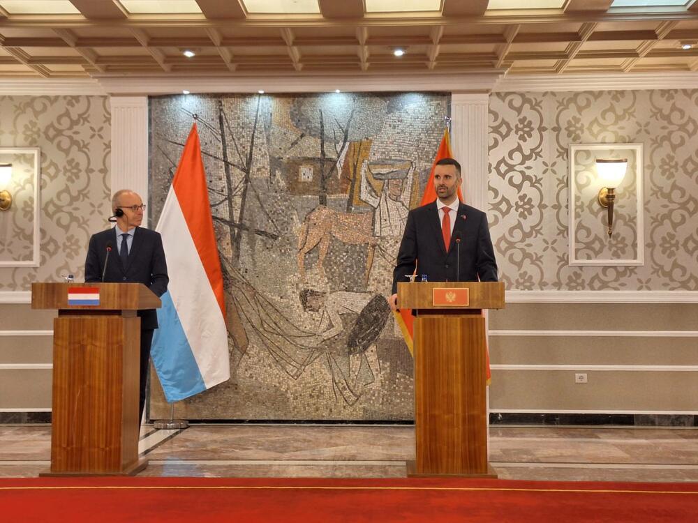 Milojko Spajić, Luk Friden