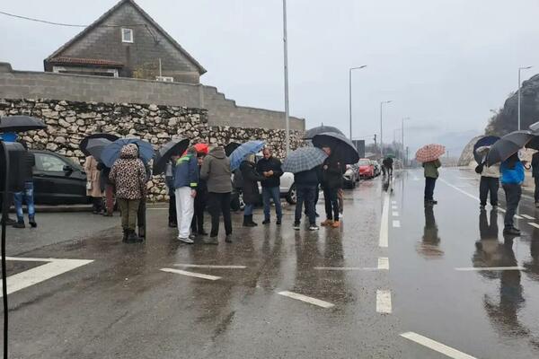 Pejović: Nijedna mjera nije preduzeta kako bi se institucionalno...