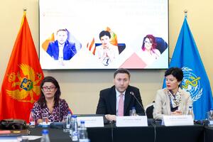 Šimun: Jednaka prava osoba sa invaliditetom osnov pravednog...