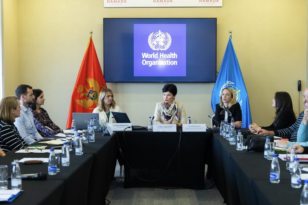 Sa okruglog stola, Foto: Svjetska zdravstvena organizacija