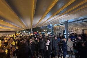 Protest u Budvi: Slovensku plažu zaštititi kao kulturno dobro,...