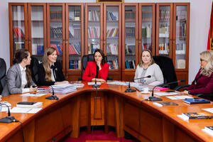 Ustavni sud organizovao stručnu obuku za savjetnike