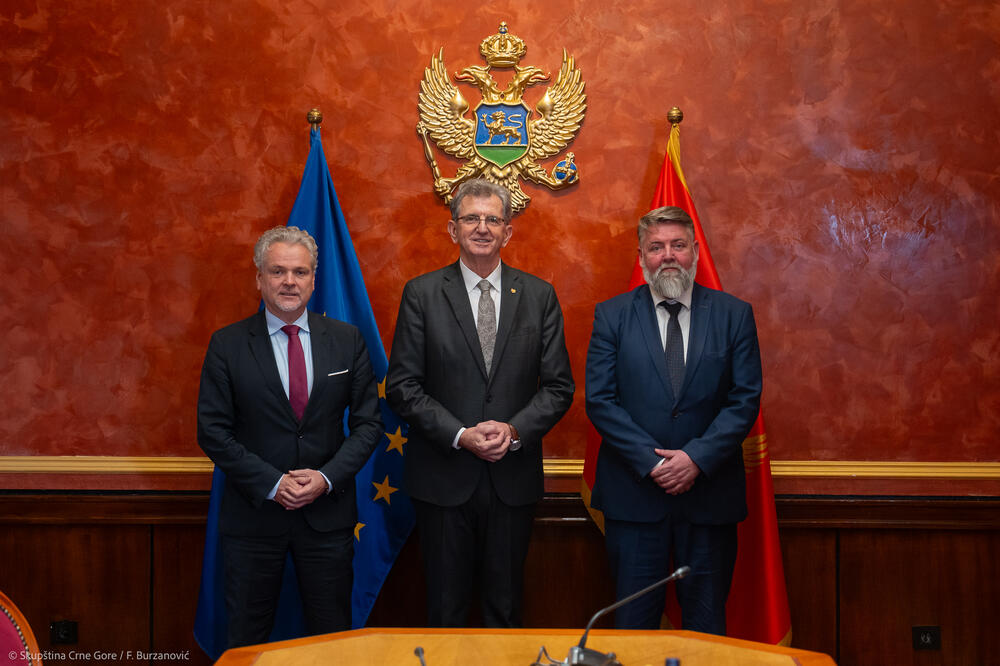 Foto: Skupština Crne Gore/F.Burzanović