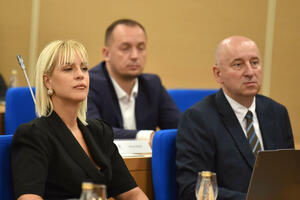 Ljiljanić naplatila i puteve i komisije