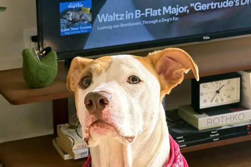 Foto: Serenity Strull