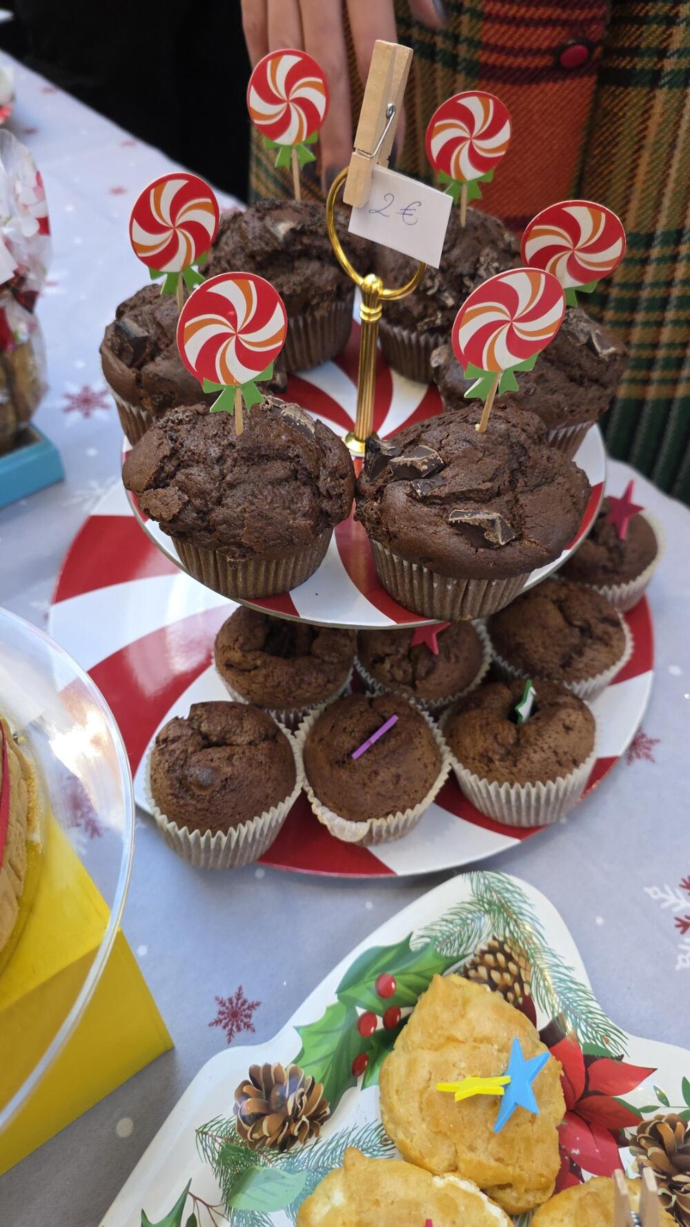 <p>Cilj je prikupljanje pomoći onima kojima je najpotrebnija, kazala je Zorica Mušković Pavićević ispred Međunarodnog kluba žena</p>