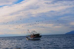 Ribarske vage do kraja godine?
