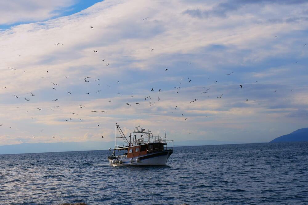 Brojni problemi u ribarstvu (Ilustracija), Foto: Shutterstock