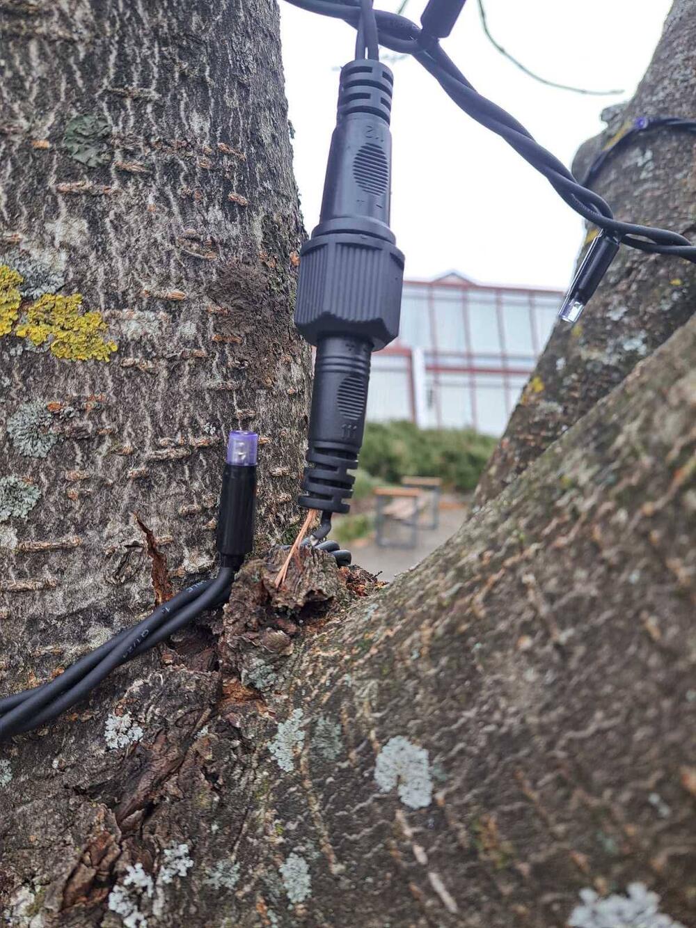 Maloljetnici osumnjičeni da su oštetili dekoraciju u Kolašinu,...