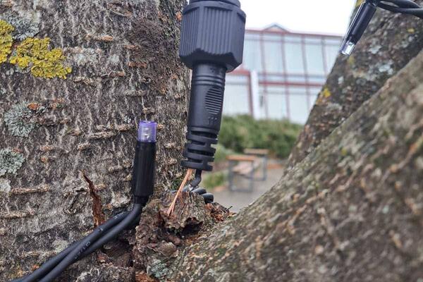 Maloljetnici osumnjičeni da su oštetili dekoraciju u Kolašinu,...