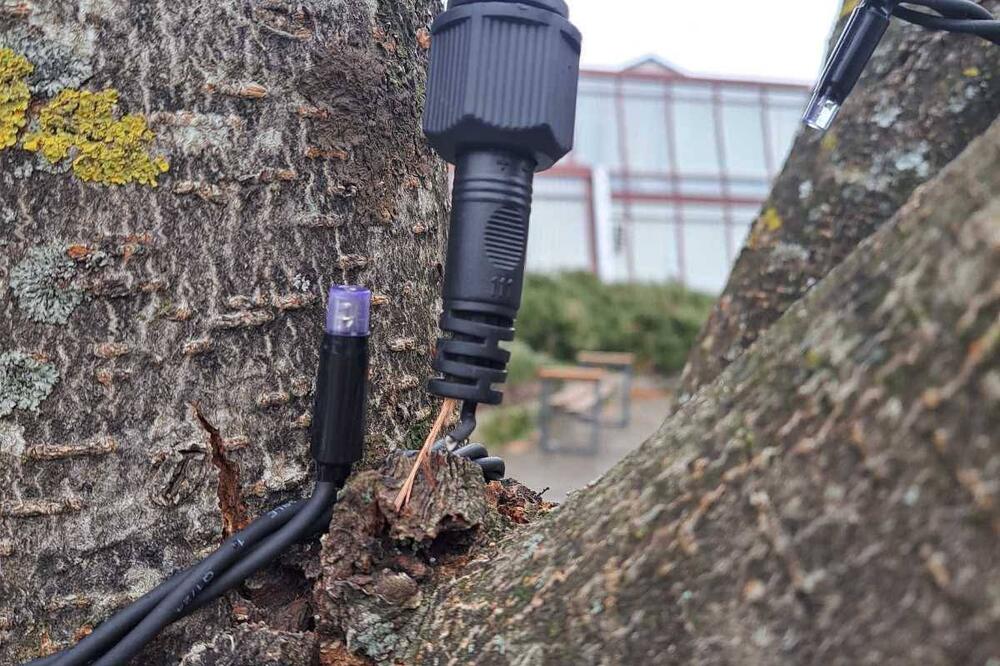 Uništena novogodišnja dekoracija u Kolašinu: Počupan dio...