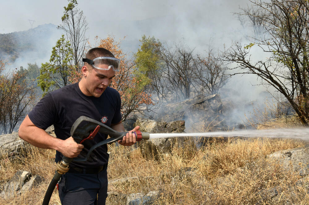 Vatrogasci goloruki i bez dovoljno opreme gasili požare u avgustu (ilustracija), Foto: BORIS PEJOVIC