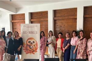 Jednoroditeljske porodice suočene sa socio-ekonomskim, pravnim i...