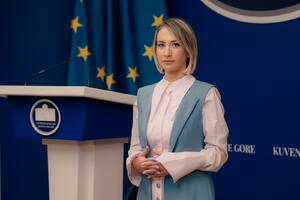 Kaluđerović: Predaću u skupštinsku proceduru Predlog zakona o...