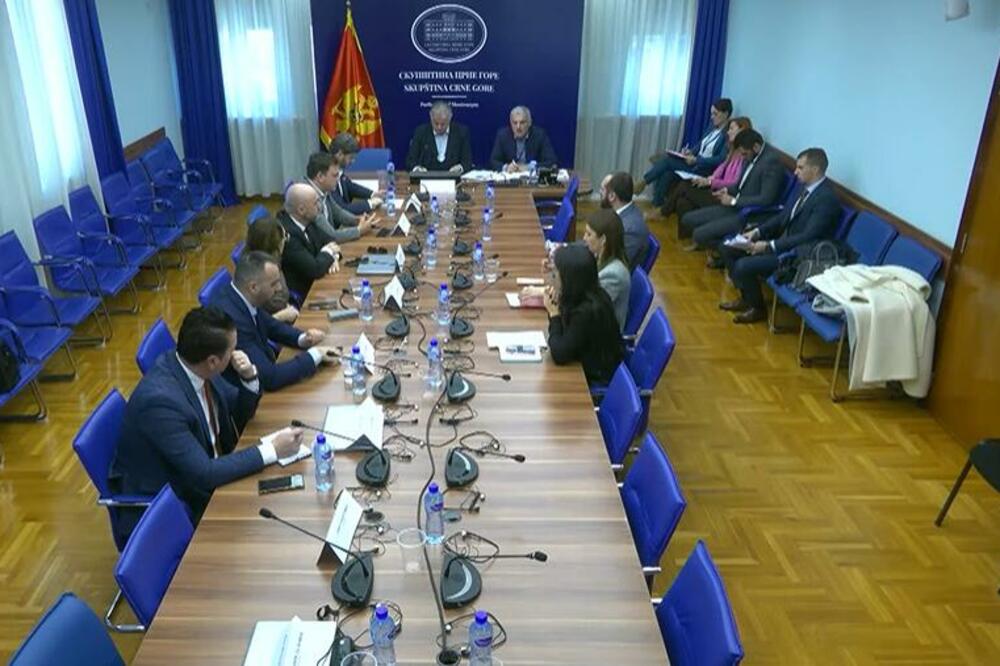 Sjednica odbora, Foto: Printscreen YouTube